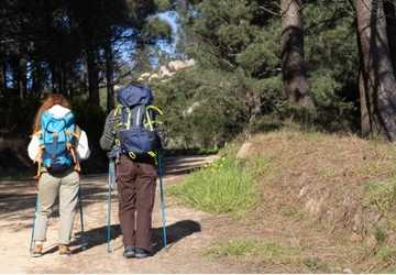 The Benefits of Regular Nature Walks