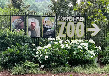 7 Best Zoos in New York City for a Fun Family Day Out