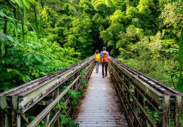 7 Best National Parks in Hawaii for Tropical Escapes