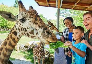 7 Best Zoos in New York City for a Fun Family Day Out