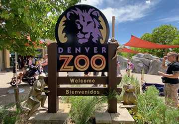 6 Best Zoos in Denver for Kids to Learn About Wildlife