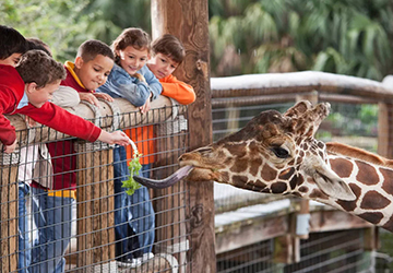 6 Best Zoos in Denver for Kids to Learn About Wildlife