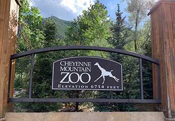 6 Best Zoos in Denver for Kids to Learn About Wildlife