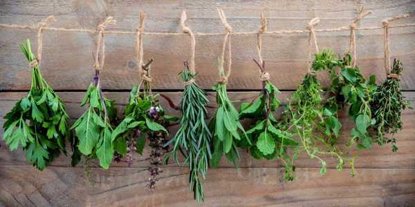 5 Best Ways to Store Fresh Herbs and Keep Them Fresh Longer