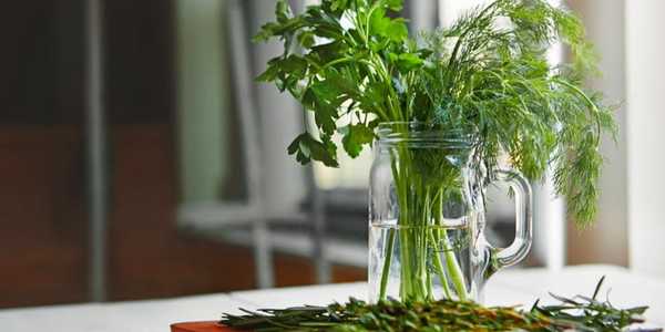 5 Best Ways to Store Fresh Herbs and Keep Them Fresh Longer